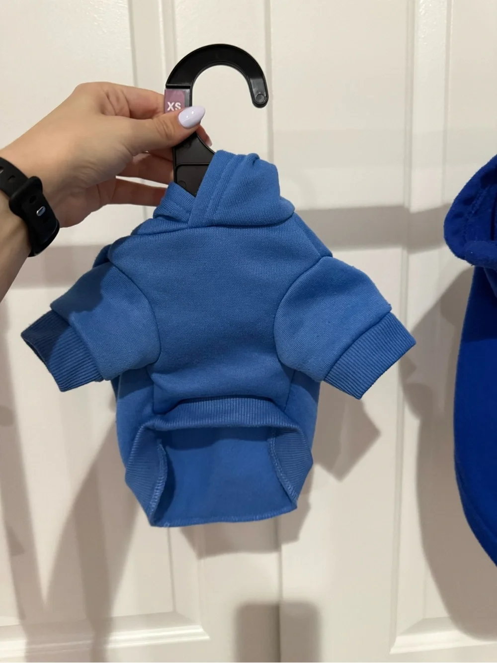 Dog Clothes - Sweatshirt and Jacket Bundle